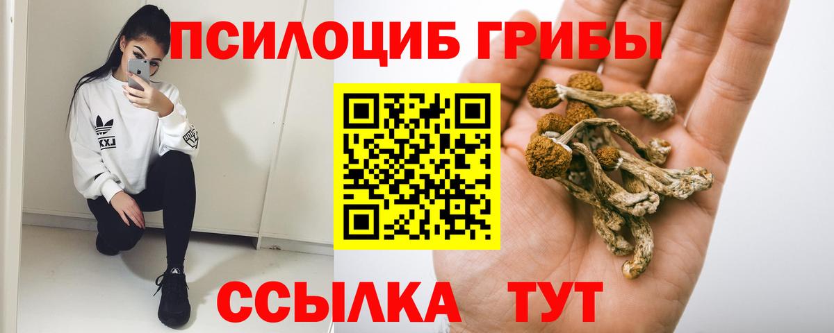Галлюциногенные грибы прущие грибы  Вход с VPN  Ростов Великий 